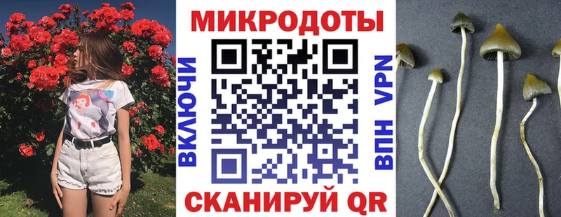 Купить  Балаково  Псилоцибиновые грибы Psilocybe 